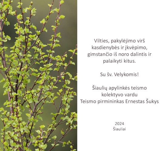 Sveikinimas 