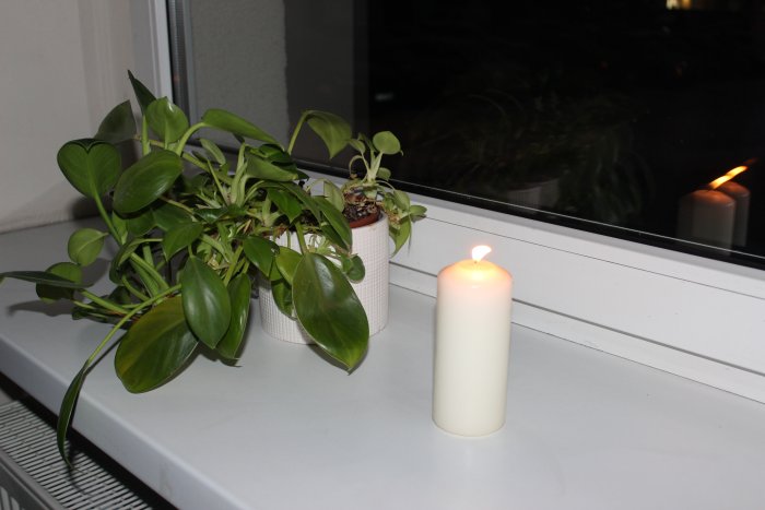 Sausio 13-ąją languose sužibo atminimo ir pergalės šviesa 