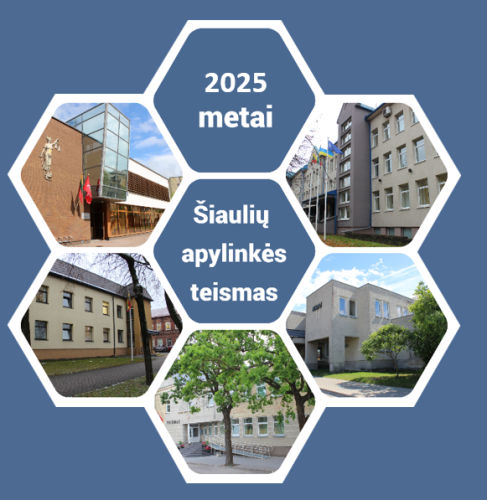 Šiaulių apylinkės teismo 2025 m. veiklos apžvalga: sėkminga apylinkių teismų reforma ir bylų nagrinėjimo operatyvumas 